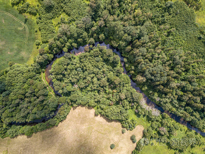 森林中小河蜿蜒的空中无人机视图