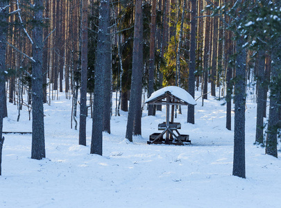 冬季森林里的鹿饲养员图片