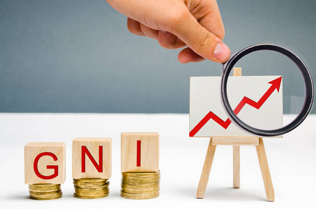 国民总收入是一个国家的国内生产总值和它从海外获得的净收入之和.