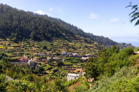 马德拉山上的房屋和梯田图片