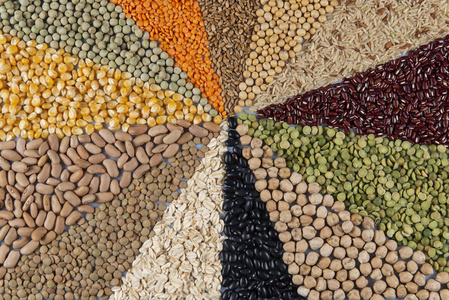 各种谷物和可食用种子的大集合.照片