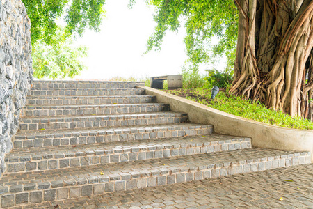 台阶路图片大全