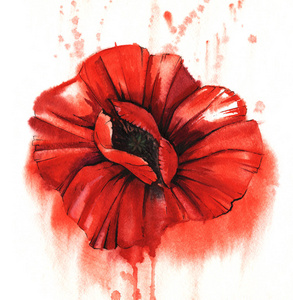 在有纹理的纸上用水彩手绘.水墨效果的毛笔花卉插画.俯视图.照片