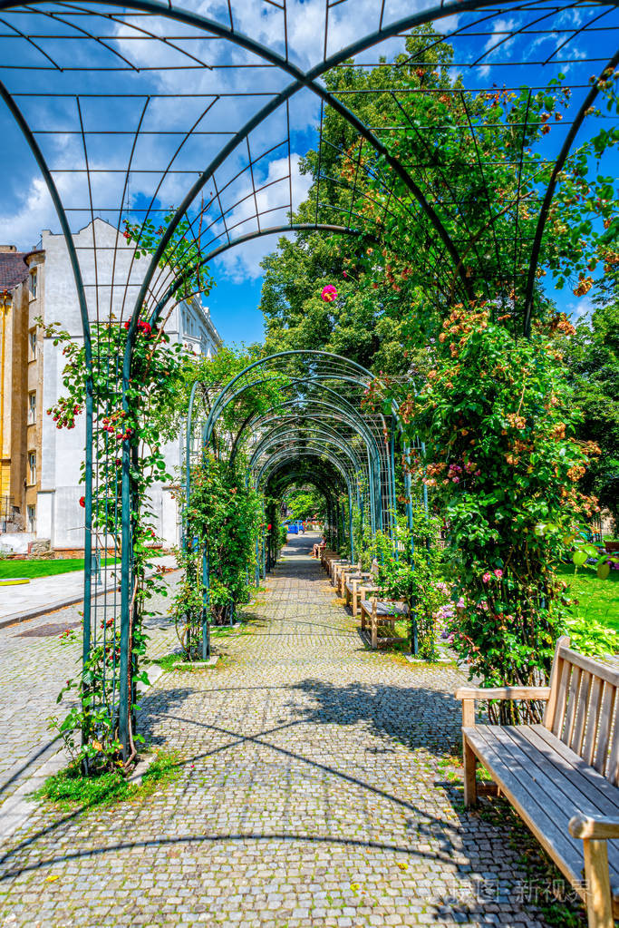 捷克的皮尔森城市花园