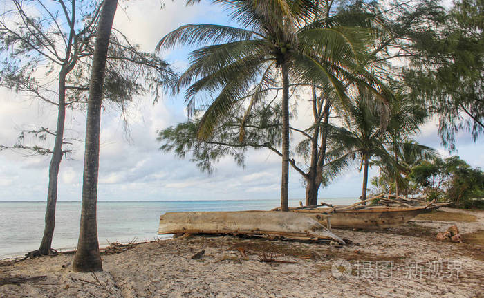 热带 海滩 海岸线 旅行 海景 自然 泻湖 求助 棕榈树