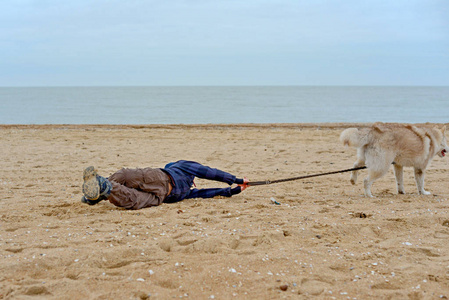 哈士奇狗拉着男孩的皮带,跑开了,拖着孩子沿着沙滩上的沙滩.照片