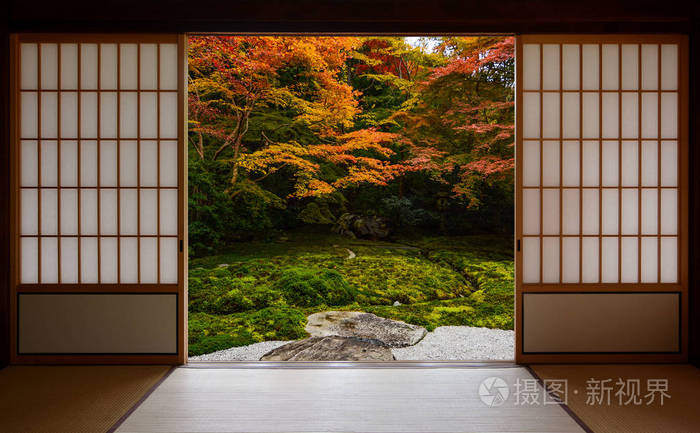 美丽的 文化 树叶 日本人 京都 旅行 季节 日本 房间