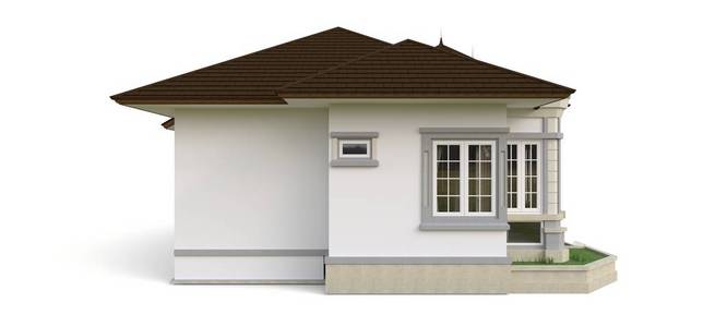 白底插图.不同侧面的物种.3d渲染.照片