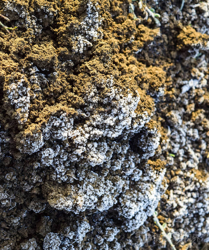 土壤和雪冻土土壤和雪的背景