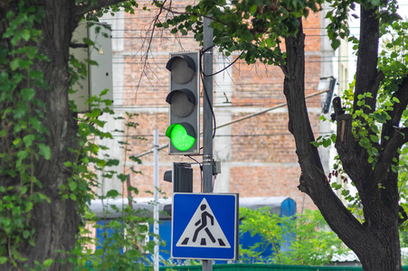 红绿灯和人行横道标志图片
