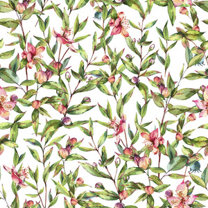 桃金娘的分支图片-桃金娘的分支素材-桃金娘的分支插画-摄图新视界