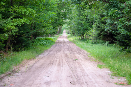 或缩小松林里的碎石路.树林中小路的逐渐缩小的视角.