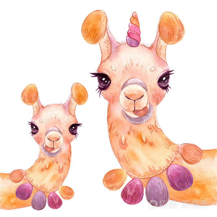美洲驼水彩羊驼肖像有趣的驼白色背景隔离
