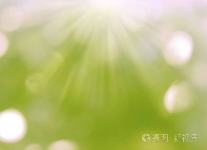 抽象背景春绿黄迷离森林照片 正版商用图片2nex3i 摄图新视界 抽象背景春绿黄迷离森林照片 正版商用图片2nex3i 摄图新视界
