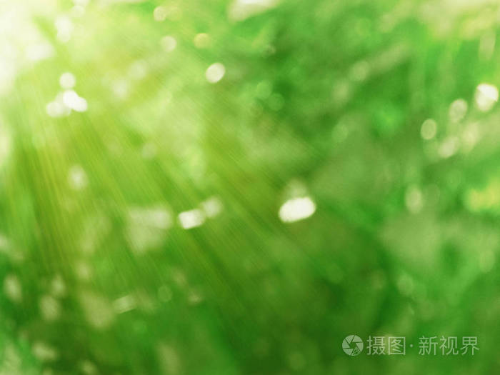 抽象背景春绿黄迷离森林照片 正版商用图片2neycp 摄图新视界 抽象背景春绿黄迷离森林照片 正版商用图片2neycp 摄图新视界