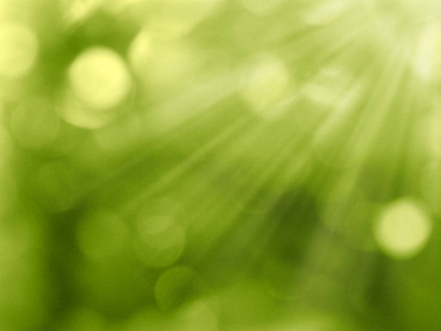 抽象背景春绿黄迷离森林图片