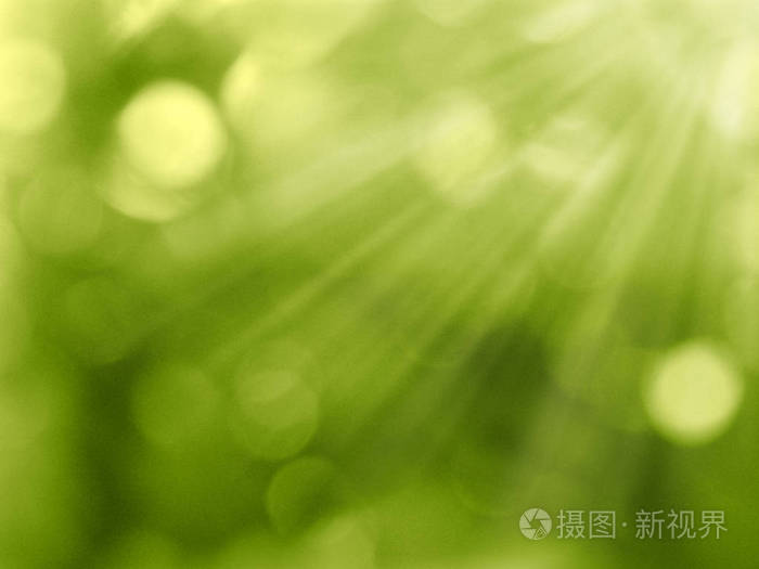 抽象背景春绿黄迷离森林照片 正版商用图片2nf03y 摄图新视界 抽象背景春绿黄迷离森林照片 正版商用图片2nf03y 摄图新视界