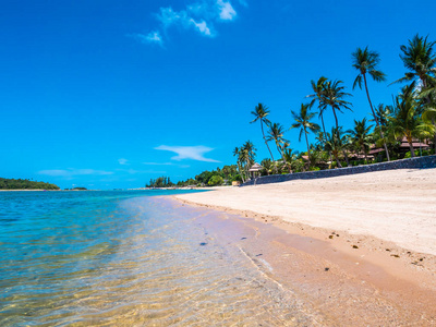 美丽的热带海滩和椰子树大海图片