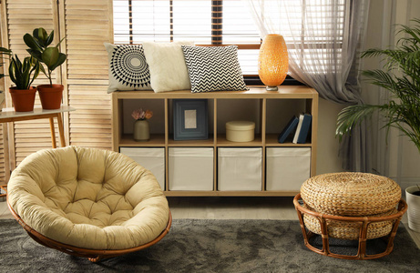 便便元素舒适的客厅配有时尚家具和装饰元素.室内设计理念照片