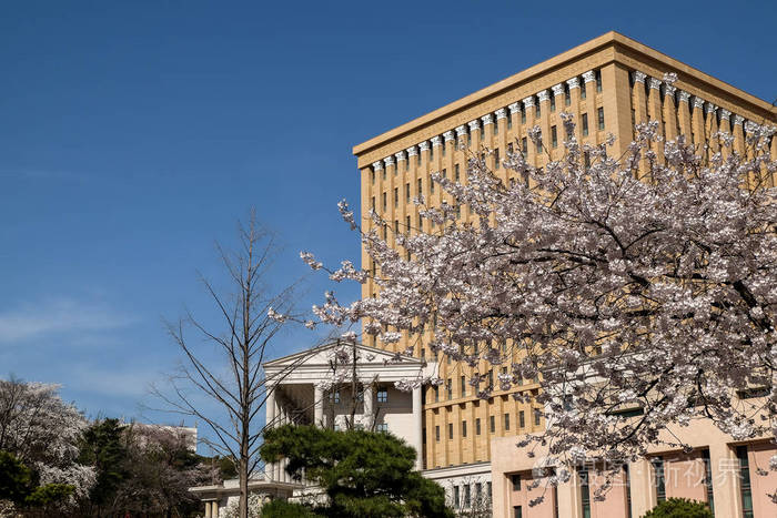 韩国庆熙大学