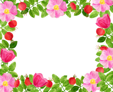 花朵框图片