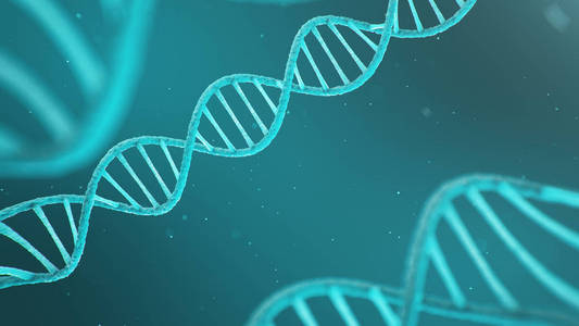 双螺旋基因dna,dna分子,rna的双螺旋结构.生物化学,生物技术的概念.