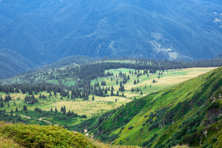 黄山峡谷在山脚下绿林环绕图片