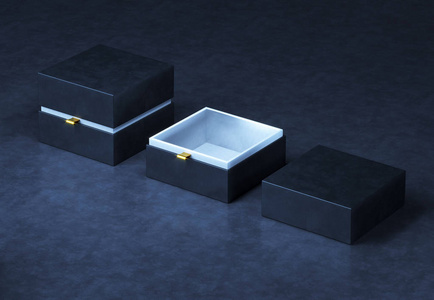 高档产品豪华包装盒照片