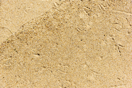 美丽的湿砂海滩湿彩砂图案特写照片