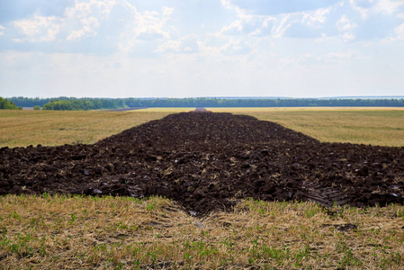 农田里撒满了肥沃的黑土图片