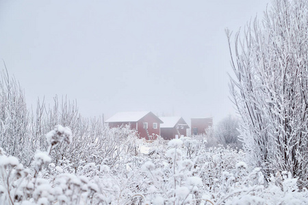 冬天的俄罗斯村庄被积雪覆盖图片