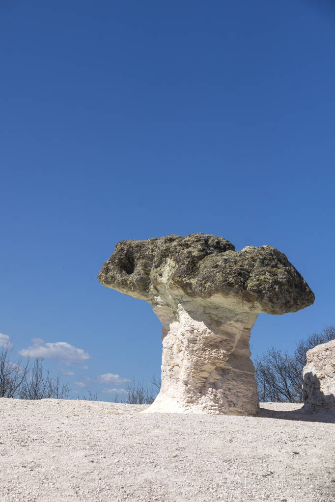 保加利亚石头蘑菇