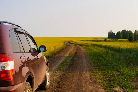 一辆红色的汽车开在一条乡间土路上,路过一片草地照片