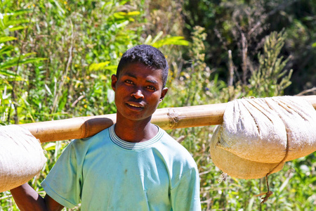 大米一袋年轻的马达加斯加人用竹竿扛着一袋袋的大米照片