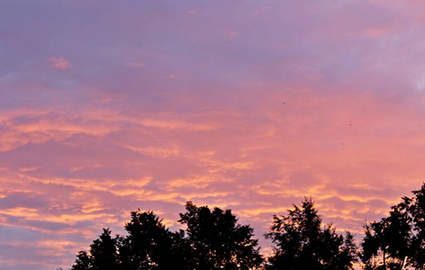 粉红色夕阳图片