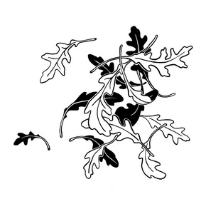 水墨手绘.黑白相间.食物,蔬菜和水果被隔离在白色背景上.