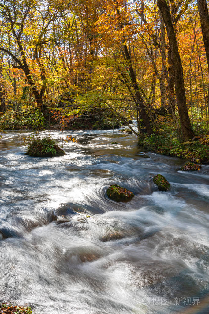 阳光明媚的乌拉色溪流,秋色中美丽的秋叶景色.