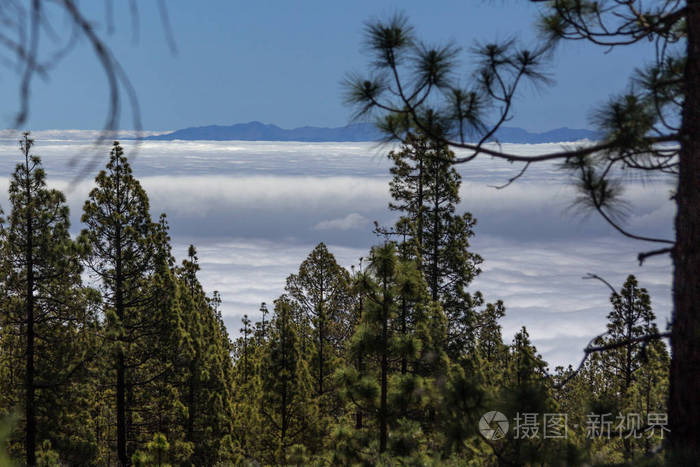 小山 山谷 旅行 森林 自然 岩石 天空 木材 全景图 风景