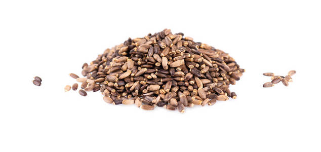 乳蓟种子,分离于白色背景上.水飞蓟,苏格兰蓟或玛丽安蓟.特写.照片