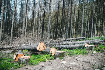 生态环境破坏图片
