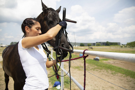 女人把马具套在马头上.照片