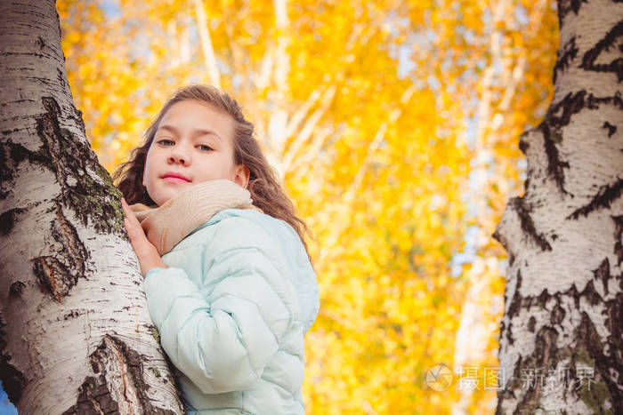 秋天的一天一个穿着蓝色羽绒服的长发女孩用双手拥抱着桦树
