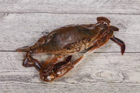 活着的螃蟹图片