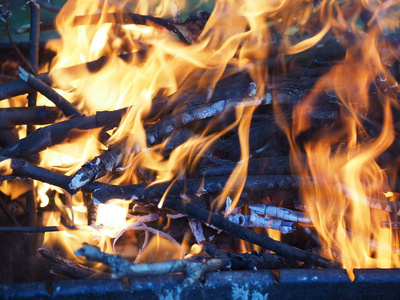 κ03κνο09火上浇油火上浇油火上浇油成语火上浇油的汉堡包天鹅