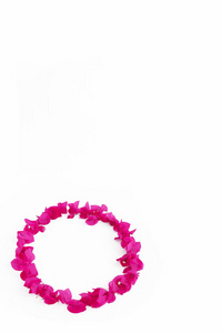 粉红色天然梅花圆形装饰框图片