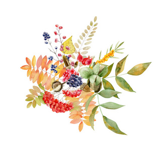 水彩手绘秋天树叶和水果的排列图片