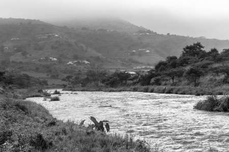 河谷薄雾复古非洲景观图片