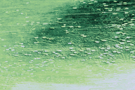 抽象狗皮纹理绿褐色滤镜背景图片