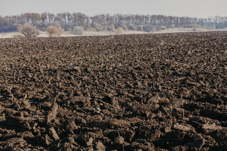黑土地毛笔字图片-黑土地毛笔字素材-黑土地毛笔字插画-摄图新视界