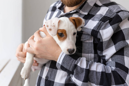 抱狗情侣头人,宠物和动物的概念-特写镜头年轻人抱着杰克拉塞尔小狗在